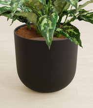 Load image into Gallery viewer, Stone Black stand:all