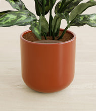 Load image into Gallery viewer, Earth Red stand:all