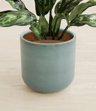 Load image into Gallery viewer, Reactive Aqua stand:all