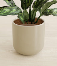 Load image into Gallery viewer, Sage Green stand:all