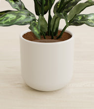 Load image into Gallery viewer, Cotton White stand:all