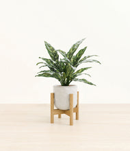 Load image into Gallery viewer, Hammered Ivory stand:bamboo