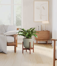 Load image into Gallery viewer, Sage Green stand:walnut