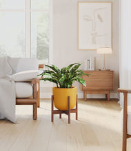 Load image into Gallery viewer, Sunset Orange stand:walnut