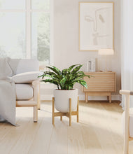 Load image into Gallery viewer, Natural Bamboo stand:bamboo