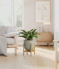 Load image into Gallery viewer, Sage Green stand:bamboo