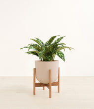 Load image into Gallery viewer, Sandy Pink stand:bamboo