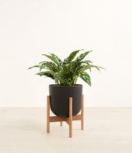 Load image into Gallery viewer, Stone Black stand:bamboo