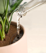 Load image into Gallery viewer, Gentle Pink stand:all