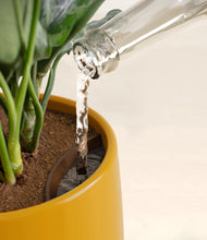 Load image into Gallery viewer, Mustard stand:all