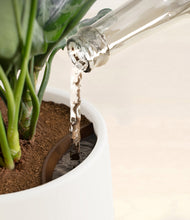 Load image into Gallery viewer, White stand:all