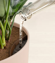 Load image into Gallery viewer, Sandy Pink stand:all