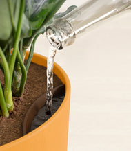 Load image into Gallery viewer, Sunset Orange stand:all