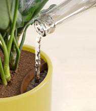 Load image into Gallery viewer, Key Lime Yellow stand:all