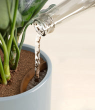 Load image into Gallery viewer, Misty Blue stand:all