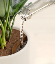 Load image into Gallery viewer, Cotton White stand:all