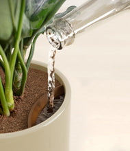 Load image into Gallery viewer, Sage Green stand:all