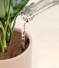 Load image into Gallery viewer, Sandy Pink stand:all