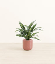Load image into Gallery viewer, Hammered Rose Pink*****Profile