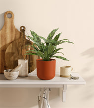 Load image into Gallery viewer, Earth Red