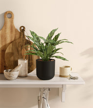 Load image into Gallery viewer, Stone Black