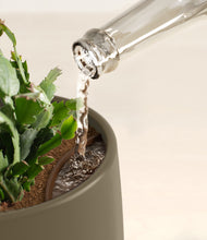 Load image into Gallery viewer, -