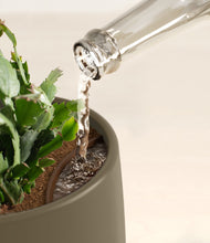 Load image into Gallery viewer, -