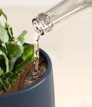 Load image into Gallery viewer, -