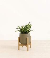 Load image into Gallery viewer, -