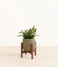 Load image into Gallery viewer, -