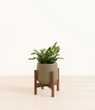 Load image into Gallery viewer, -