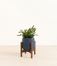 Load image into Gallery viewer, -