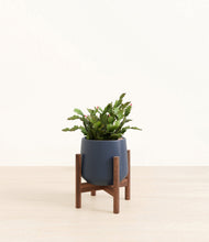 Load image into Gallery viewer, -