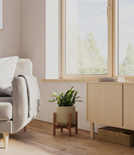 Load image into Gallery viewer, -