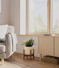 Load image into Gallery viewer, -