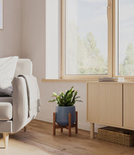 Load image into Gallery viewer, -