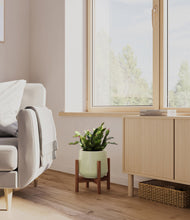 Load image into Gallery viewer, -