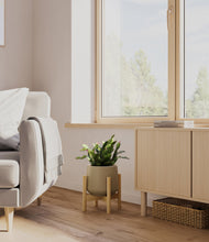 Load image into Gallery viewer, -