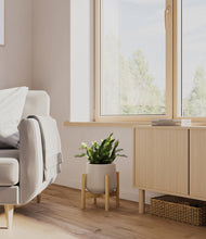 Load image into Gallery viewer, -