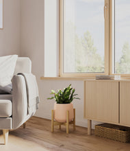 Load image into Gallery viewer, -