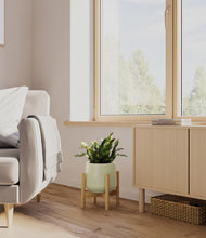 Load image into Gallery viewer, -