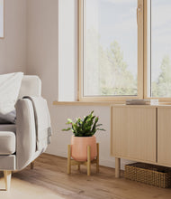 Load image into Gallery viewer, -