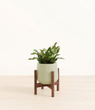 Load image into Gallery viewer, -