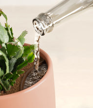 Load image into Gallery viewer, -