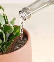 Load image into Gallery viewer, -