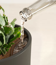 Load image into Gallery viewer, -