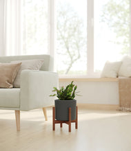 Load image into Gallery viewer, -