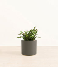 Load image into Gallery viewer, -