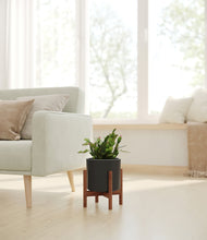 Load image into Gallery viewer, -