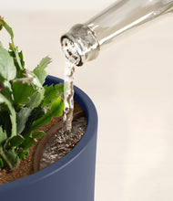 Load image into Gallery viewer, -